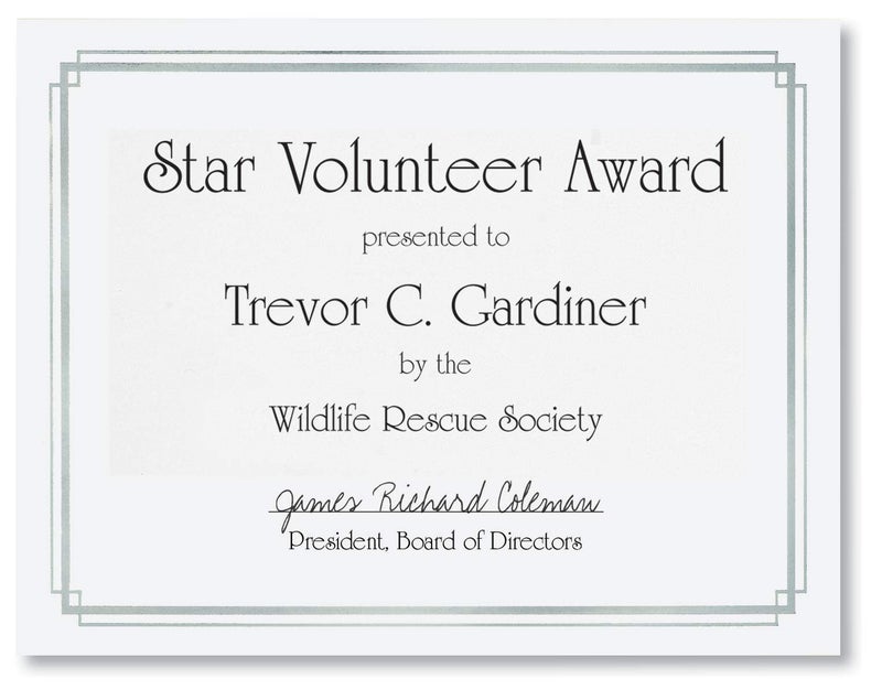 PaperDirect Silver Foil Elegance Border Specialty Certificates, 38lb White Paper, 8.5 x 11 Inches, 30 Sheets, Laser & Inkjet Compatible, Perfect for Diplomas, Awards & Recognition - Image 3